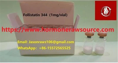 Follistatiin 344 1mg CAS: 80449-31-6