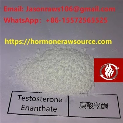 Testosterooni enantaadi pulbriga kulturismi CAS:315-37-7